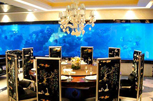 饭店、餐厅、海鲜馆的海鲜池喂养海鲜需要那些设备？